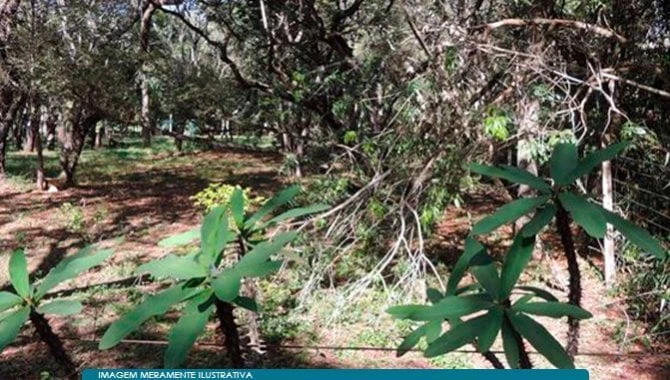 Terreno no Loteamento Quinta do Lago em Avaré/SP em Avaré - São Paulo