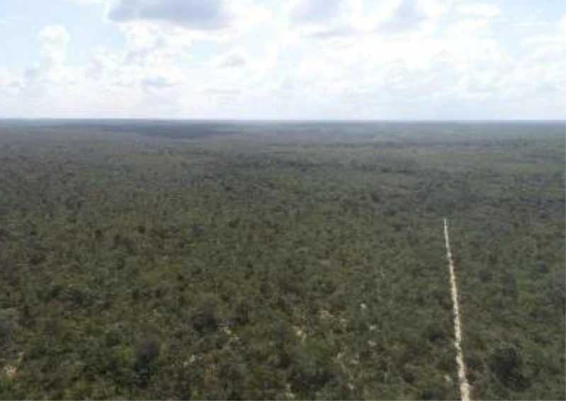Terreno no Gleba Soledade em Belágua/MA em Belágua - Maranhão