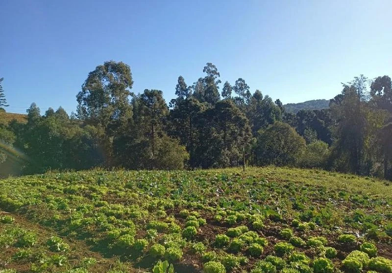 Terreno Terreno rural em Caçador/SC em Caçador - Santa Catarina