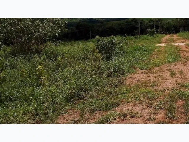 Terreno Engenho Esperança A.T. 256 ha em Água Preta/PE em Água Preta - Pernambuco
