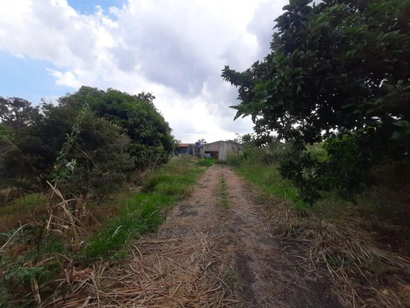 Terreno Direitos Possessórios em Brasília/DF em Brasília - Distrito Federal