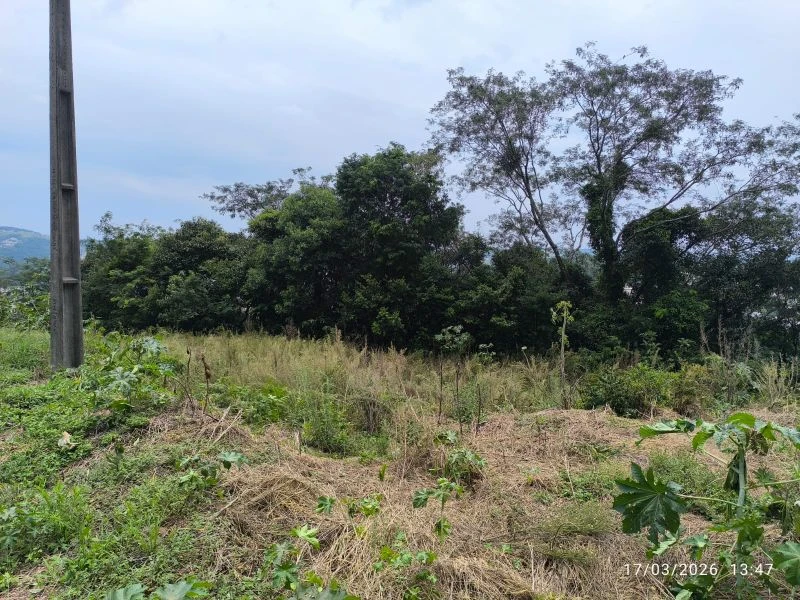 Terreno no Loteamento Dom Nelson em Concórdia/SC em Concórdia - Santa Catarina