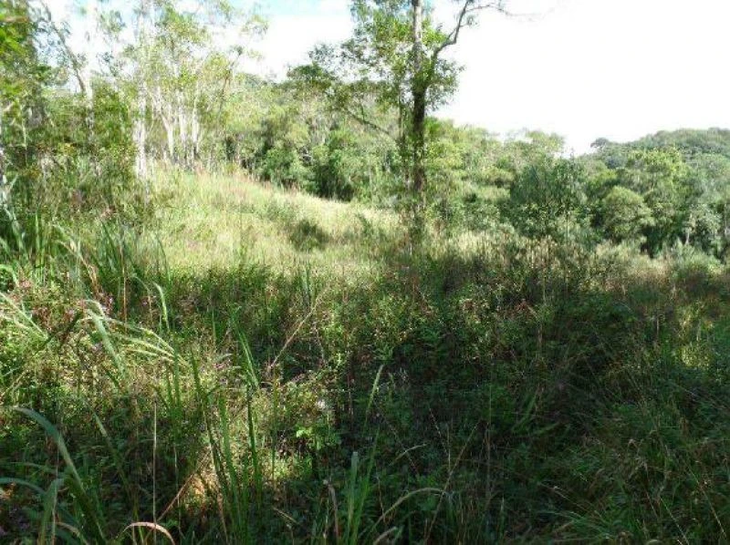 Sítio de 41ha Gleba 01 no Salto em Ibiúna - São Paulo