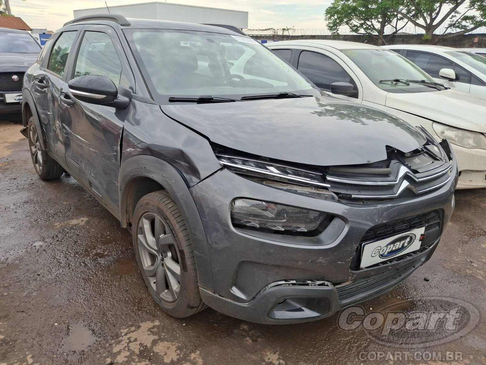 Citroën C4 Cactus Feel 2022 1.6 16V em Aparecida De Goiânia - Goiás