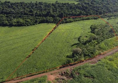 Terreno com 0.82 Alqueires em Formosa do Oeste/PR em Formosa Do Oeste - Paraná