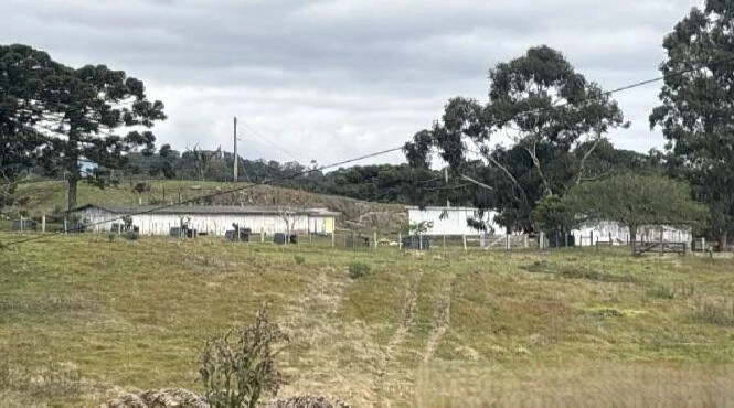 Terreno com 3 Iméveis Rurais em Farroupilha/RS em Farroupilha - Rio Grande do Sul
