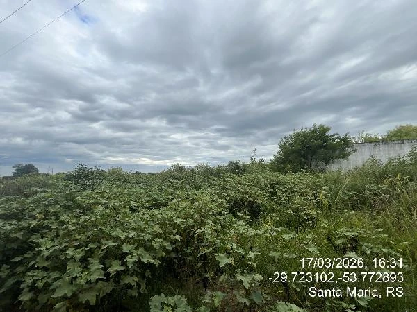 Terreno no Jardim Berleze em Santa Maria/RS em Santa Maria - Rio Grande do Sul