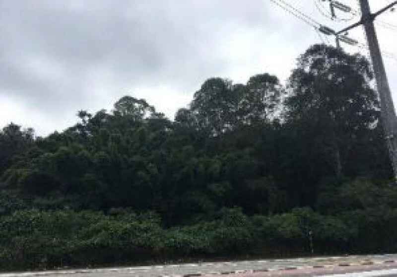 Terreno Terreno na Avenida Anibal Correia em Barueri/SP em Barueri - São Paulo