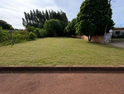 Terreno Terreno de 653m² em Palotina/PR em Palotina - Paraná