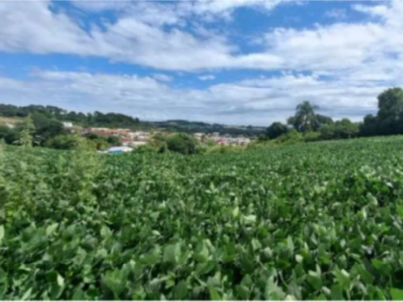 Terreno 375 m² em Camargo/RS em Camargo - Rio Grande do Sul