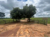 Fração 10% de Fazenda em Alta Floresta/MT em Alta Floresta - Mato Grosso