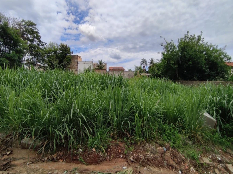 Casa com 3 Quartos e 1 Suíte em Aparecida de Goiânia/GO em Aparecida De Goiânia - Goiás