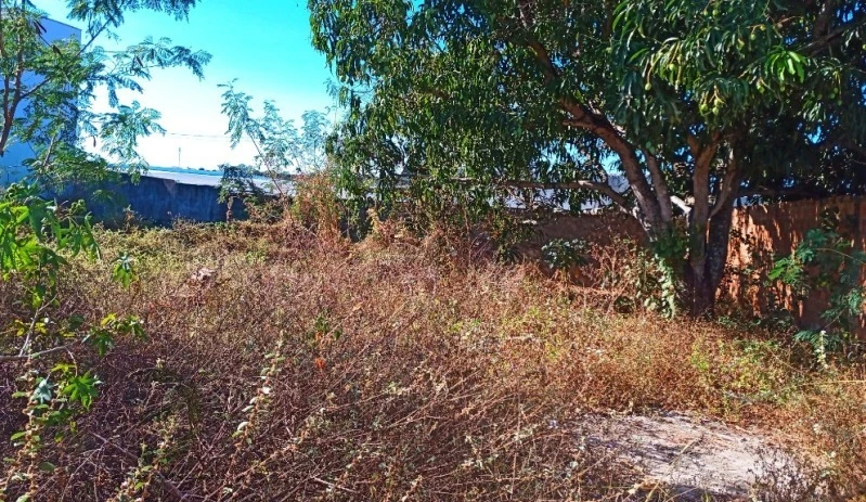 Terreno no Lote 17m x 17m murado em Ribeira do Pombal/BA em Ribeira Do Pombal - Bahia