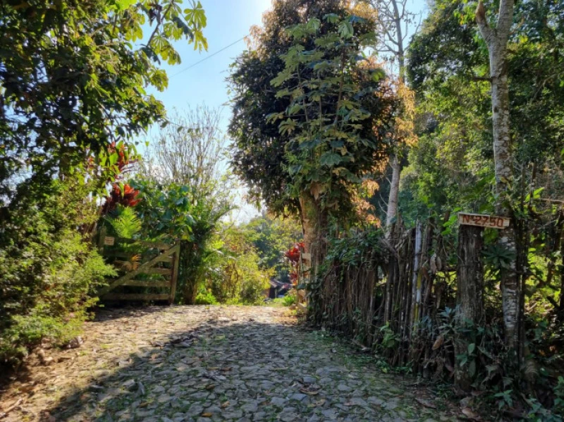 Sítio com Sítio Bourbon em Juiz de Fora/MG em Juiz De Fora - Minas Gerais