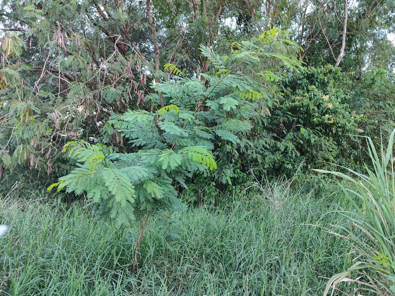 Terreno em Foz do Iguaçu/PR em Foz Do Iguaçu - Paraná
