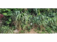 Terreno no Joana D'Arc em Vitória/ES em Vitória - Espírito Santo
