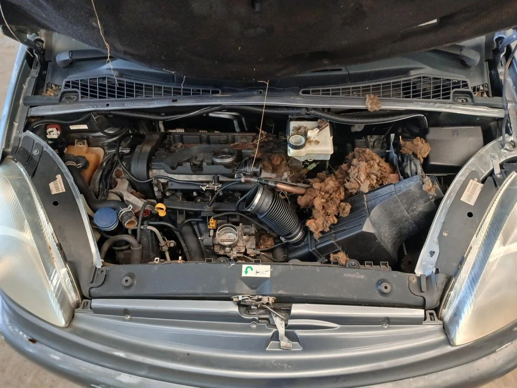 Citroën XSara Picasso EX 2003 Conservado em Porto Feliz - São Paulo