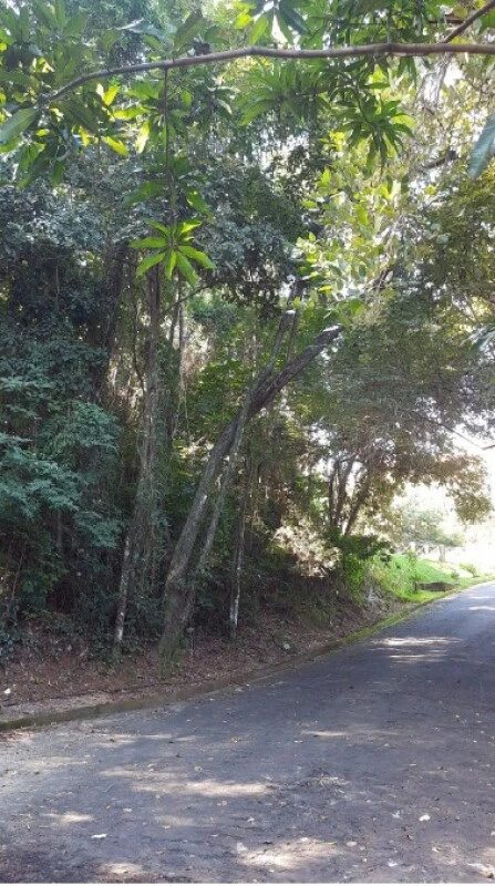 Terreno no Cond. Fazenda Orypaba em Amparo/SP em Amparo - São Paulo