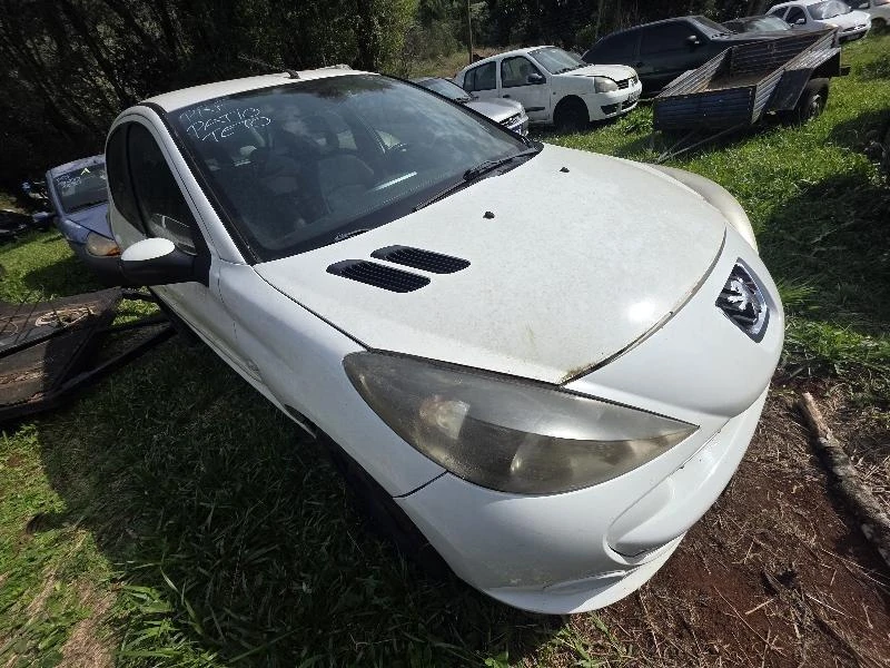 Peugeot 207HB XR S XR S 2012 em São Miguel Do Oeste - Santa Catarina