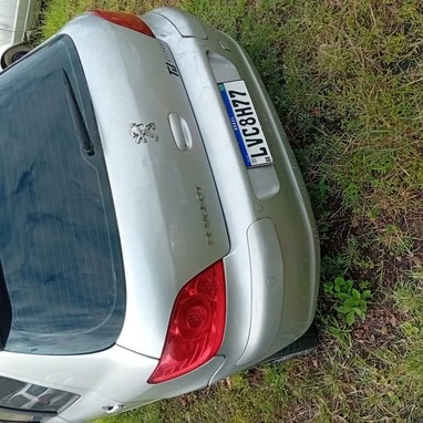 Peugeot 307 20S A GRIF 2006/2007 em Jaraguá Do Sul