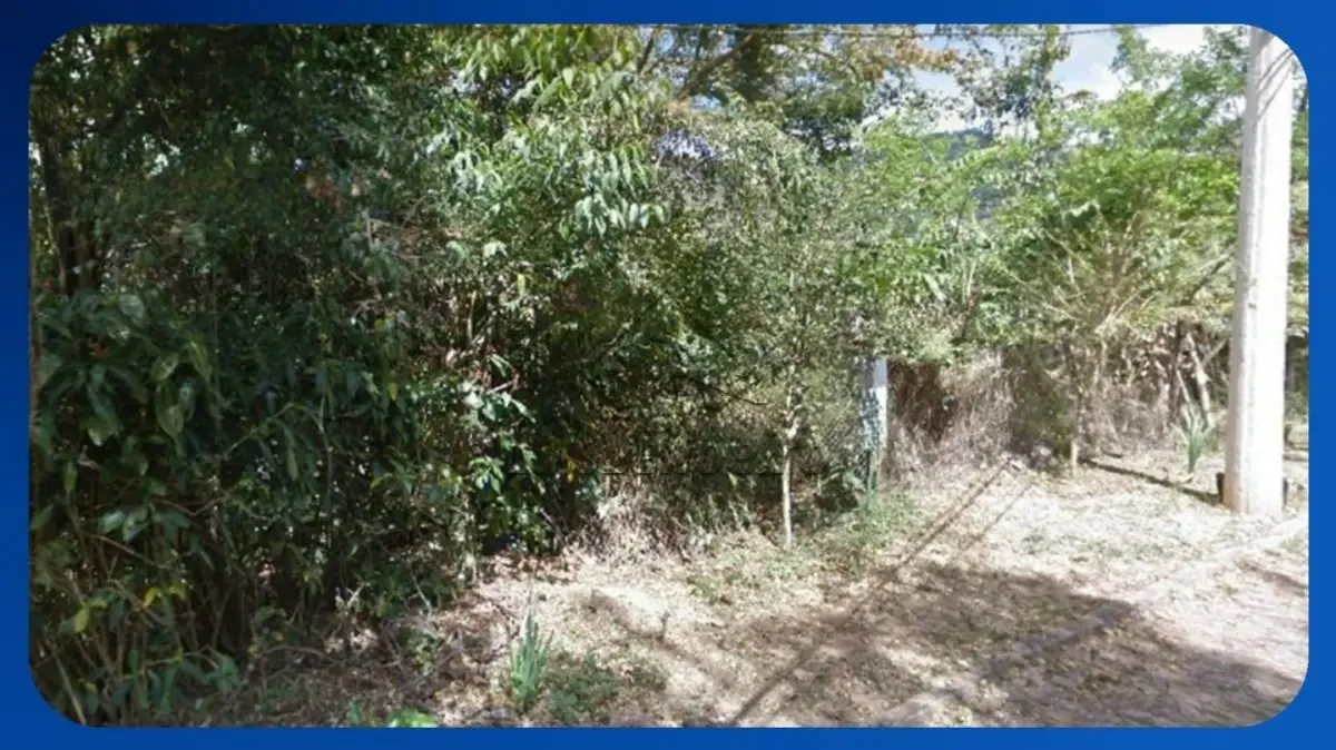 Terreno em Nova Lima/MG em Nova Lima - Minas Gerais
