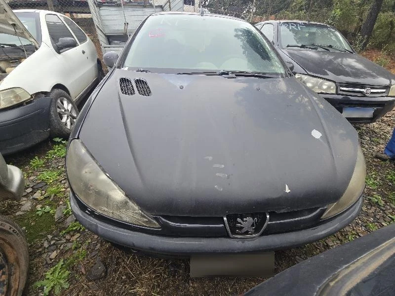 Peugeot 206 2004 1.4 em Canoinhas - Santa Catarina
