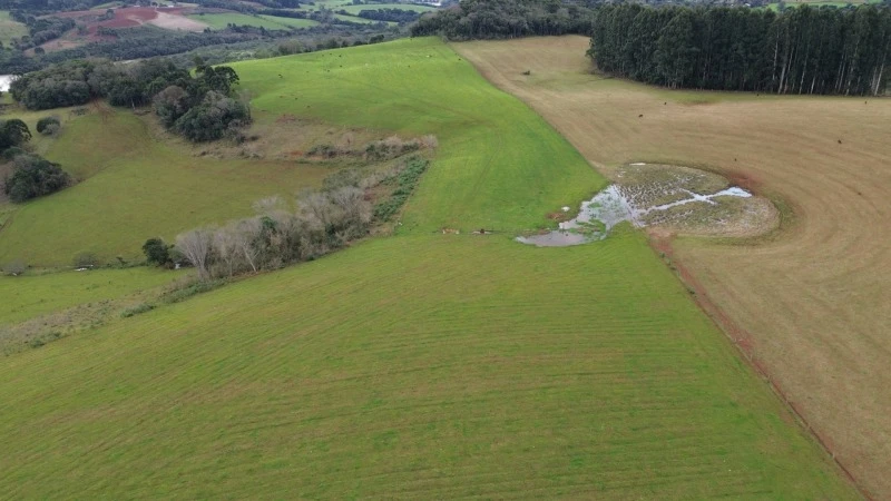 Terreno com 18 alqueires em Anita Garibaldi/SC em Anita Garibaldi - Santa Catarina