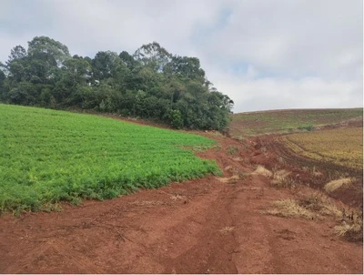 Terreno Terreno rural em Frei Rogério/SC em Frei Rogério - Santa Catarina