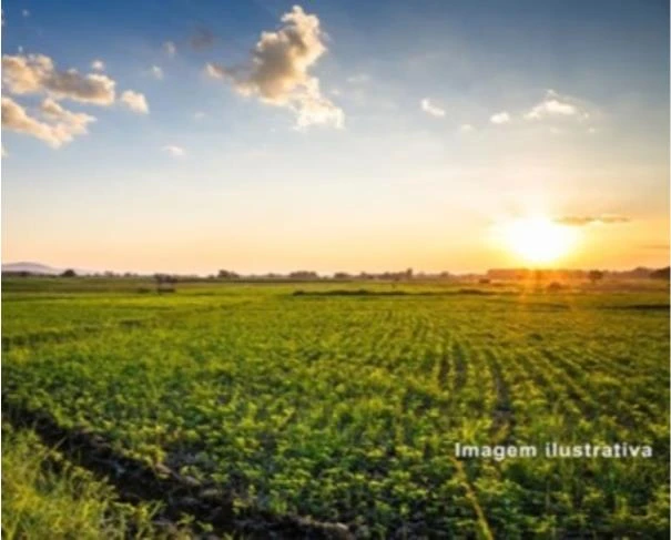 Fazenda com 1000 ha em Santa Filomena/PI em Santa Filomena - Piauí