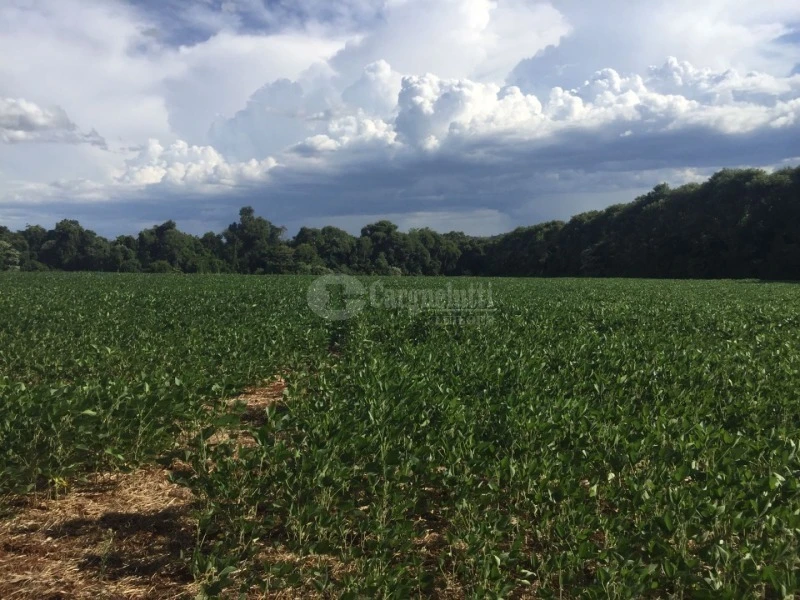 Terreno 6 ha em esquina em Giruá/RS em Giruá - Rio Grande do Sul