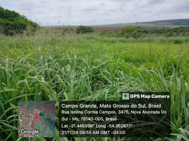 Terreno no Lote Nova Alvorada do Sul/MS em Nova Alvorada Do Sul - Mato Grosso do Sul