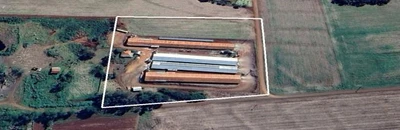 Terreno Terreno Rural com Aviários em Nova Santa Rosa/PR em Nova Santa Rosa - Paraná