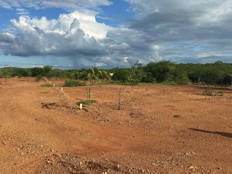 Terreno Terreno de 800 m² em Carnaíba/PE em Carnaíba - Pernambuco