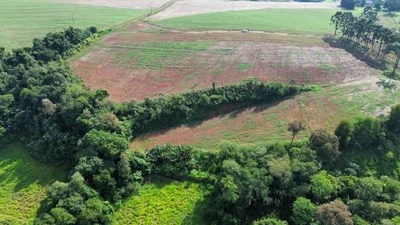 Terreno com 2 ha em Nova Prata do Iguaçu/PR em Nova Prata Do Iguaçu - Paraná