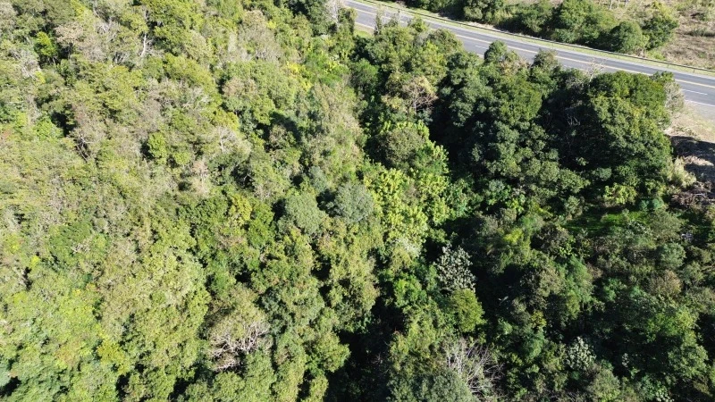 Terreno Terreno com 50% de quota em São José do Herval/RS em São José Do Herval - Rio Grande do Sul
