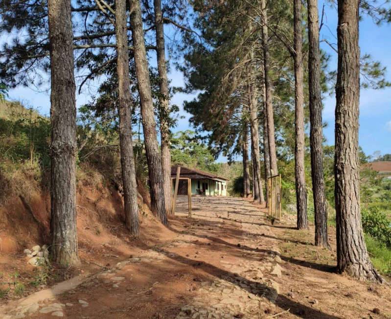 Fazenda com Fazenda Havaí em Cristiano Otoni/MG em Cristiano Otoni - Minas Gerais