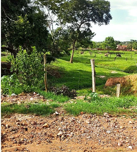 Terreno Terreno em Vila Cezarina GO em Cezarina/GO em Cezarina - Goiás