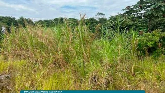 Terreno Terreno em Demarchi, São Bernardo do Campo/SP em São Bernardo Do Campo - São Paulo