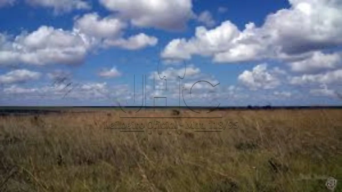 Fração com 20 ha em Dom Pedrito/RS em Dom Pedrito - Rio Grande do Sul