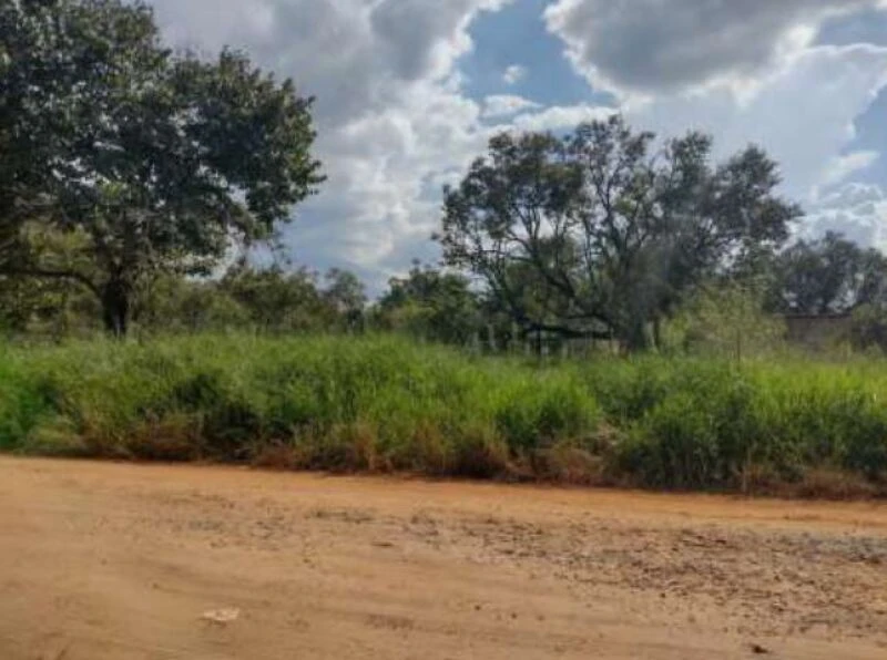 Terreno Terreno no Pinhal em Itapetininga/SP em Itapetininga - São Paulo