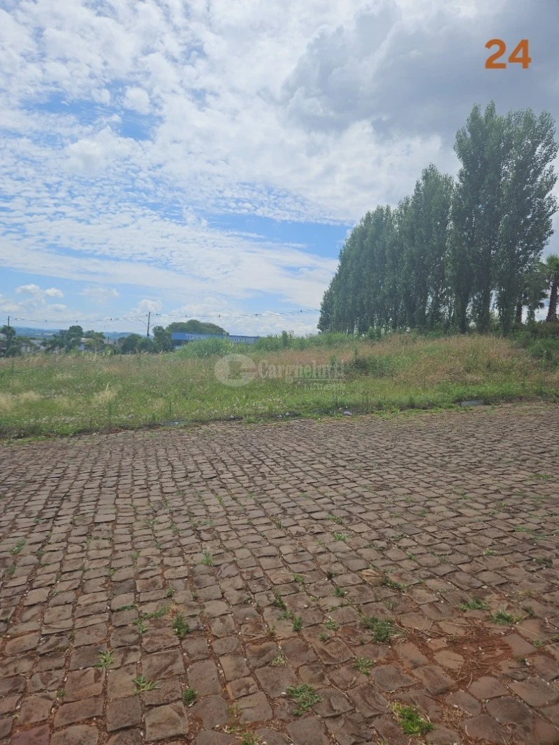 Terreno Terreno urbano em Barracão/RS em Barracão - Rio Grande do Sul
