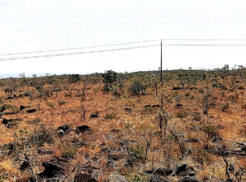 Fazenda Fazenda Serra Dourada IV MT com 62389 ha em Vila Bela Da Santíssima Trindade - Mato Grosso