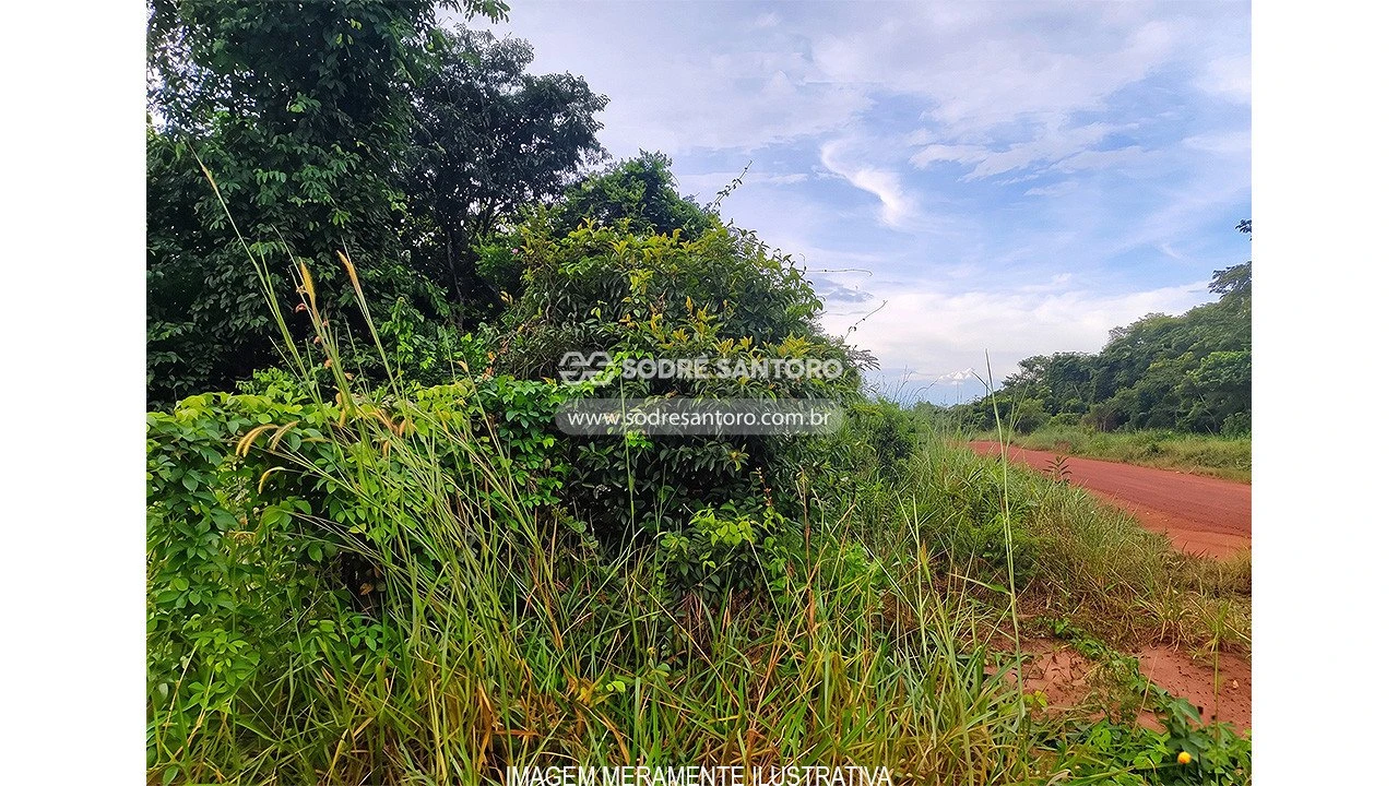 Terreno no Lote Rural 152 em Ipiranga do Norte/MT em Ipiranga Do Norte - Mato Grosso