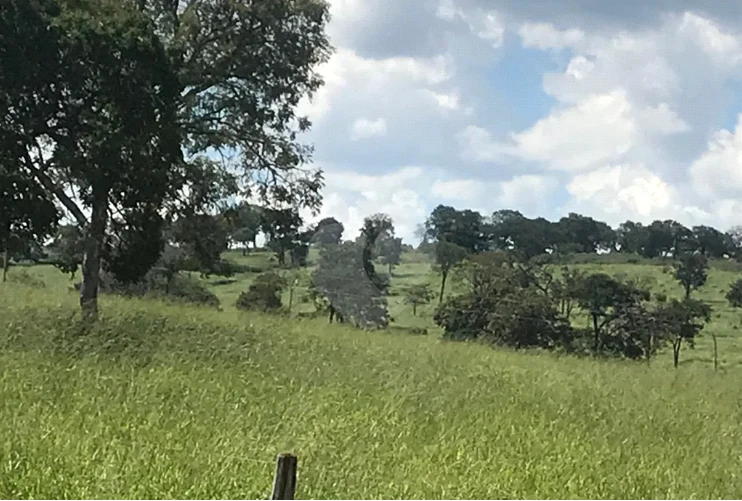 Fazenda com 60.5799 ha em Augusto de Lima/MG em Augusto De Lima - Minas Gerais