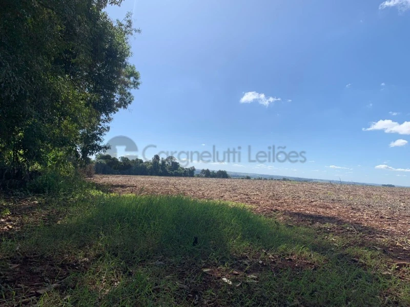 Terreno de 20000m² dentro de 80000m² em Coronel Barros em Coronel Barros - Rio Grande do Sul