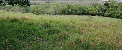 Terreno com 9,2192 ha em Abadiânia/GO em Abadiânia - Goiás