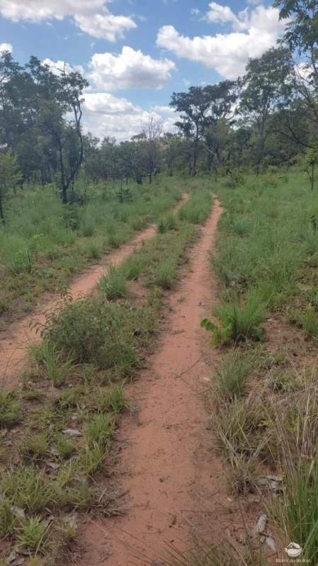 Terreno com área rural extensa em Loreto/MA em Loreto - Maranhão