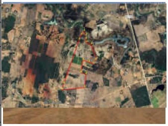 Terreno Terreno Rural em Dom Basilio em Livramento de Nossa Senhora/BA em Livramento De Nossa Senhora - Bahia