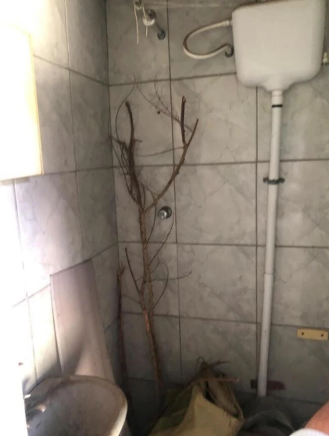 Casa em Higienópolis, Piracicaba/SP em Piracicaba - São Paulo