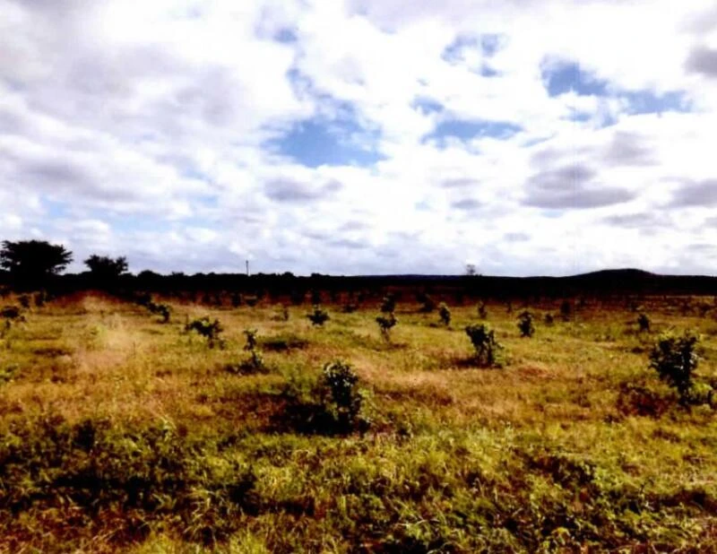 Terreno com Sítio Celina em Casa Nova/BA em Casa Nova - Bahia